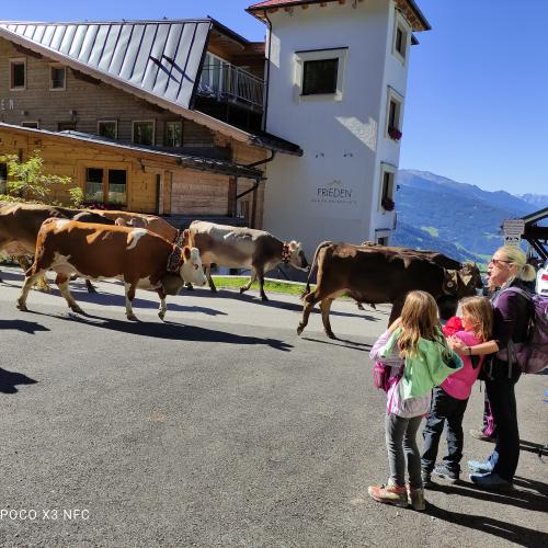 wandertag13
