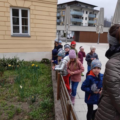 Frühling