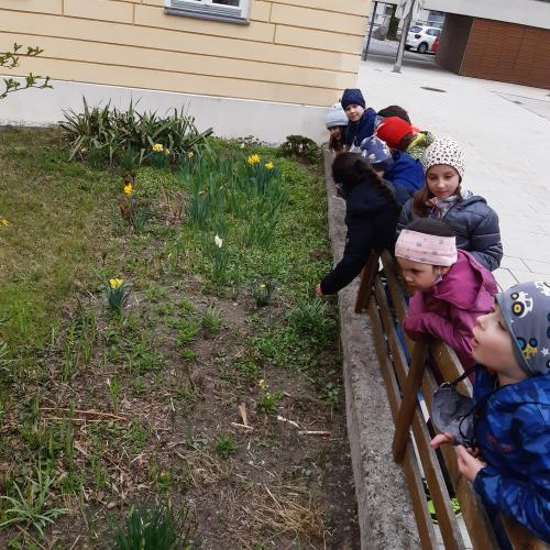 Frühling