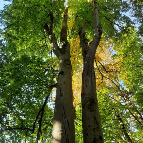 Kinder beim Wandern