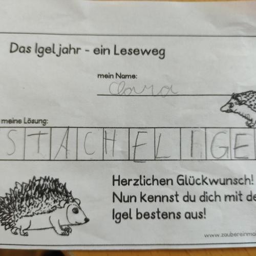 Igelbuch