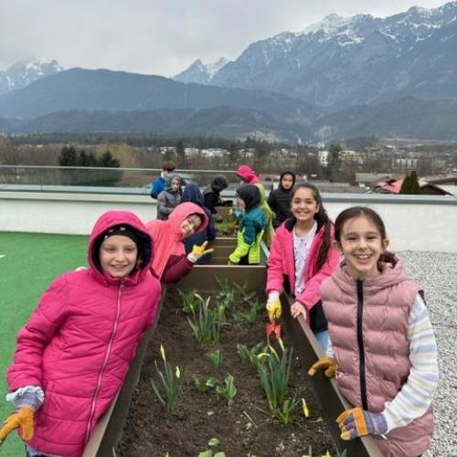 Kinder beim Garteln