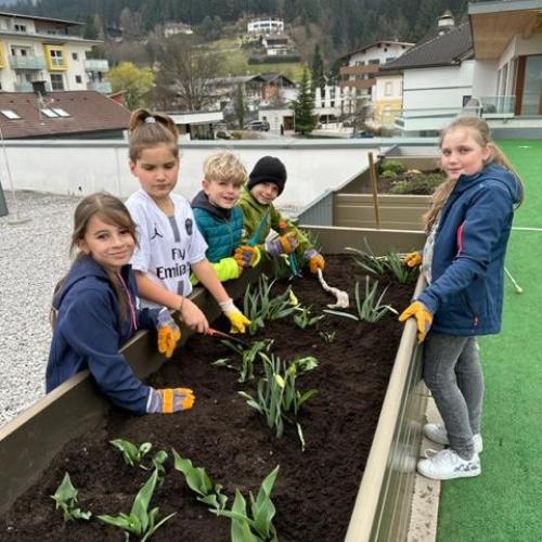 Kinder beim Garteln