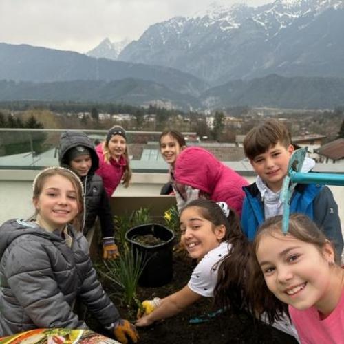 Kinder beim Garteln