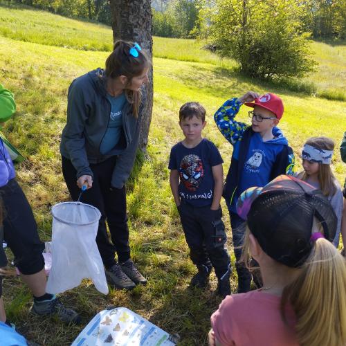 Kinder auf der Wiese