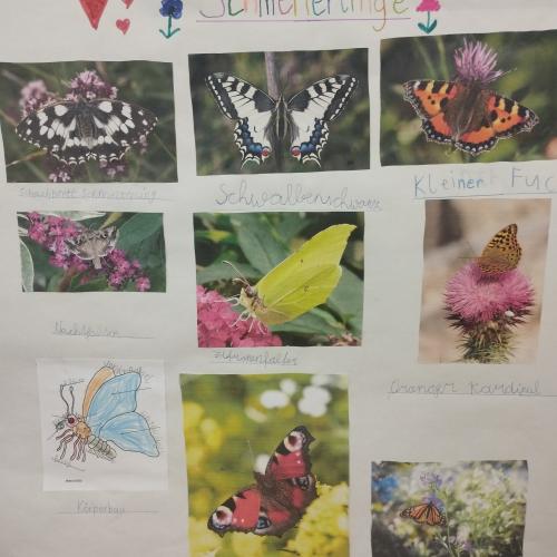 Plakat