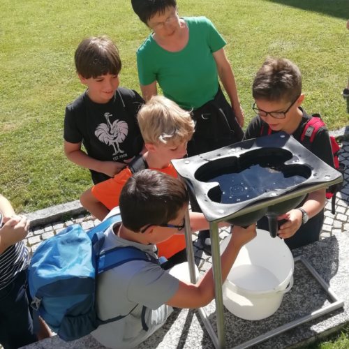 Schulkinder auf dem Bauernhof