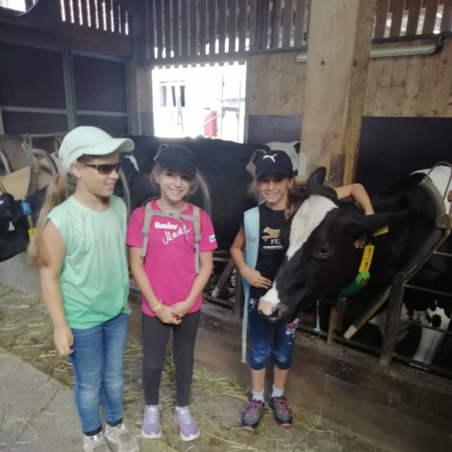Schulkinder auf dem Bauernhof