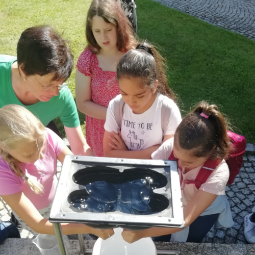 Schulkinder auf dem Bauernhof