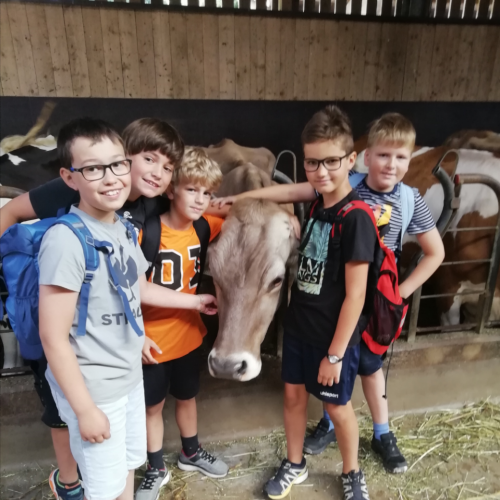 Schulkinder auf dem Bauernhof