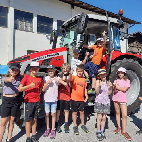 Schulkinder auf dem Bauernhof