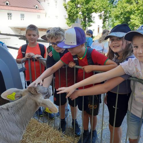 Schulkinder auf dem Bauernhof