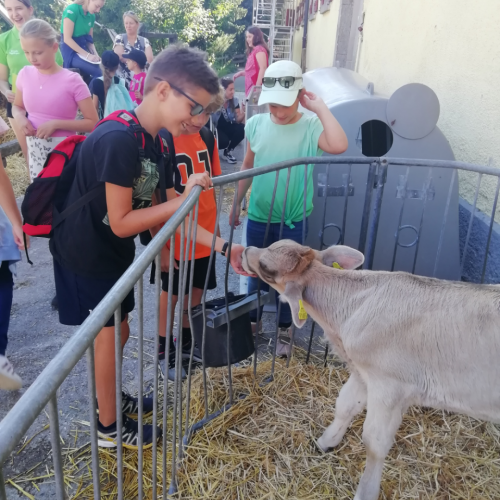 Schulkinder auf dem Bauernhof