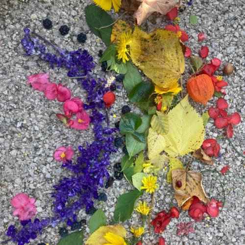 Regenbogen aus Naturmaterialien