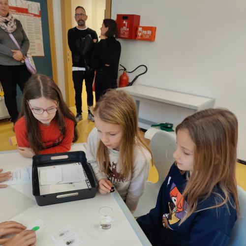 Schulkinder in der Mittelschule zu Besuch