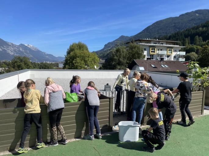 Kinder im Schulgarten
