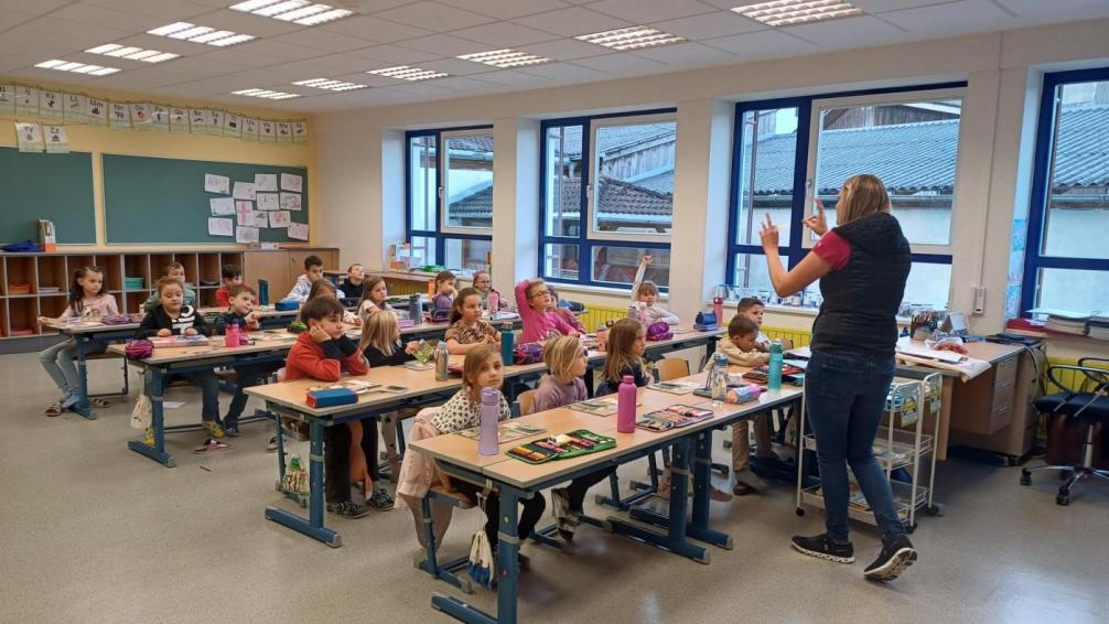 SuS lernen über die Karotte